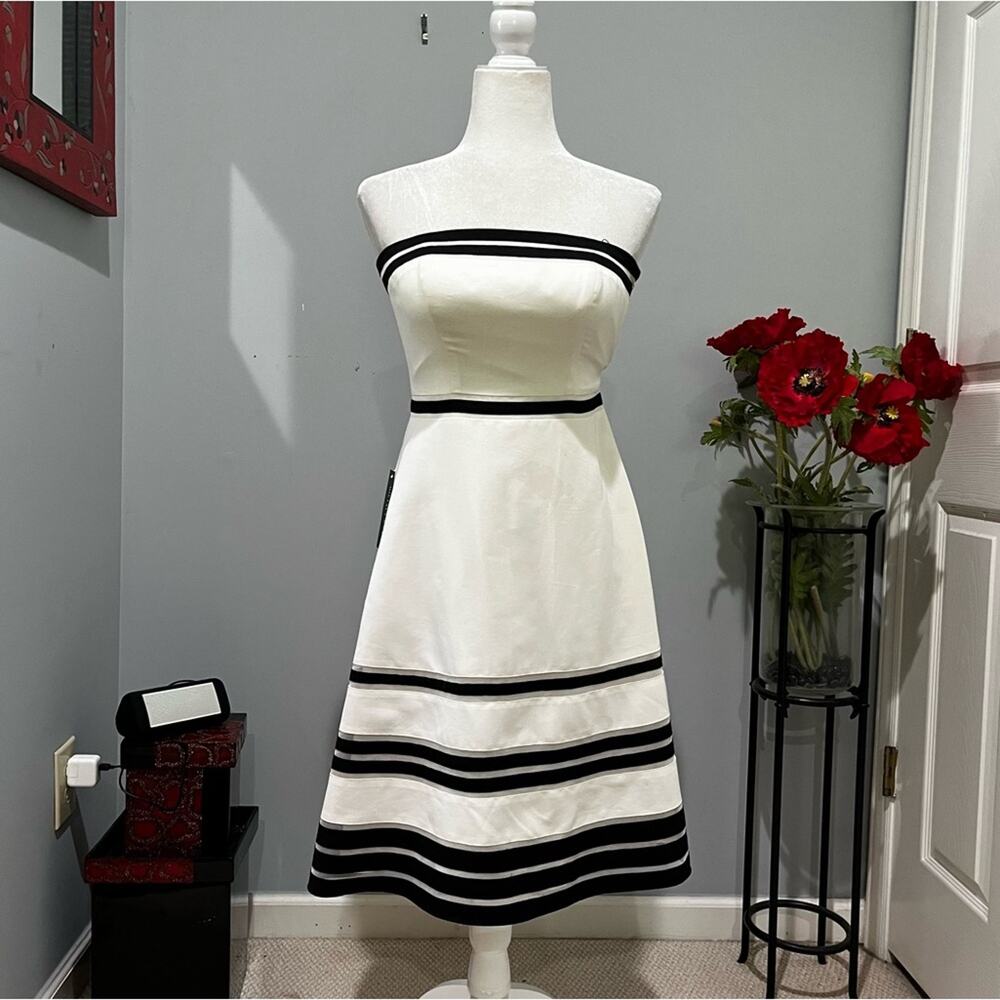 NEW Ann Taylor Silk Classic Structured Strapless Two-Tone Fit Flare Midi Dress